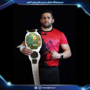 مسعود سالک