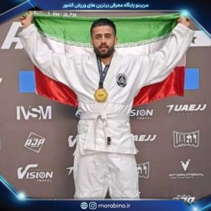 مسعود سالک