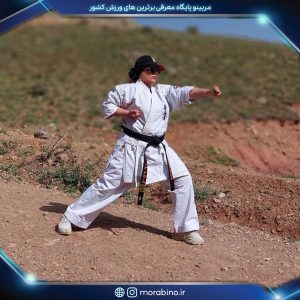 مینا آرامی
