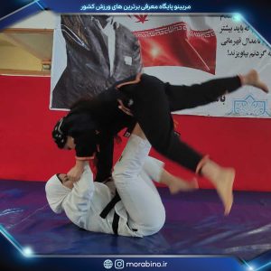 مبینا جمشیدی