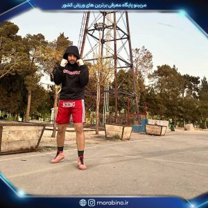 محمد پرتو