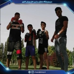 محمد پرتو