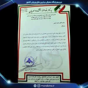 حمید ترابی