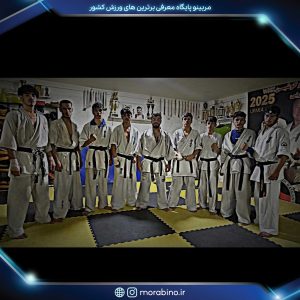 ناصر دهقان