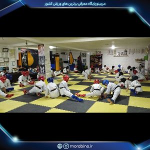 ناصر دهقان