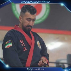 مهدی گلپیر