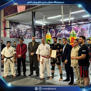 مسیب احمدی