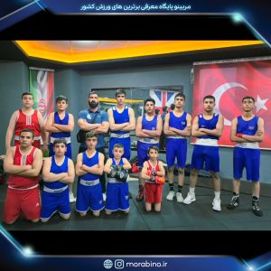 بهمن حسنی