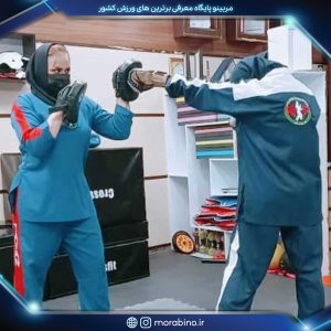 فرشته محمودی
