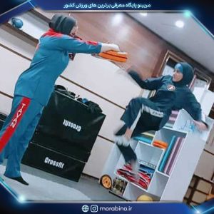 فرشته محمودی