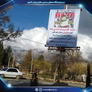 سارا همتی زاده