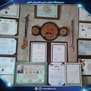 سارا همتی زاده