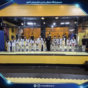 حسین عباسیان