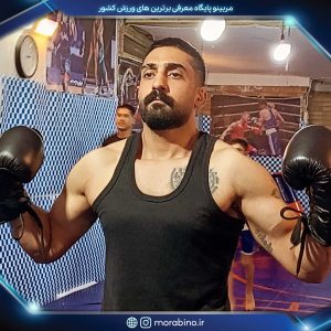 معین ربیعی