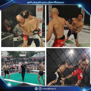 حجت صالحی