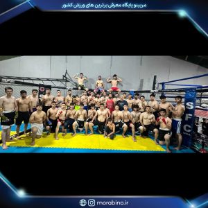 حجت صالحی