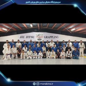 علی محمدی