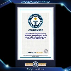 بهرام روحانی مطلق