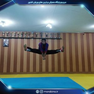 بهرام روحانی مطلق