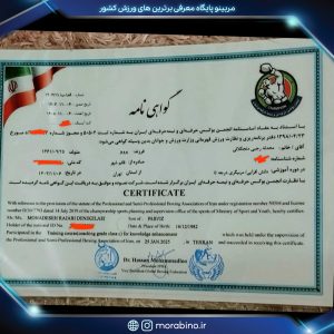 محدثه رجبی
