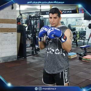 علی ذوالقدر