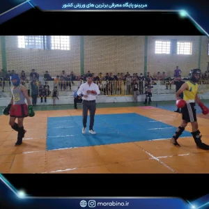 علی ذوالقدر