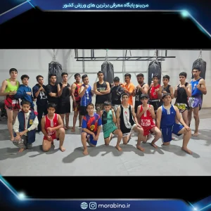 امیرحسین زارع