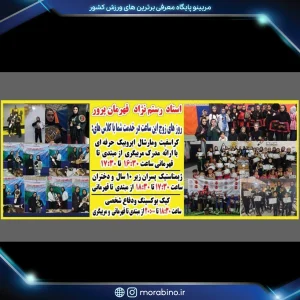 انسیه رستم نژاد