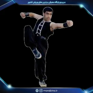 مجید عالم جان