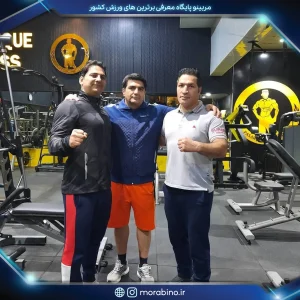 مهدی یعقوبلو