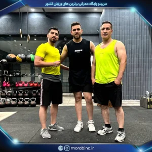 مهدی یعقوبلو