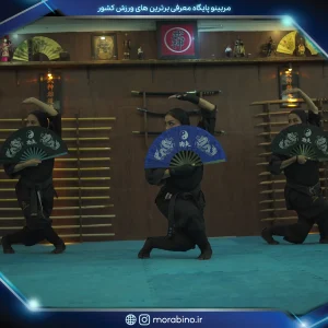 شیوا نوائی