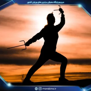 شیوا نوائی