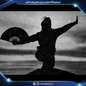 شیوا نوائی