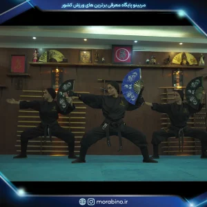 شیوا نوائی