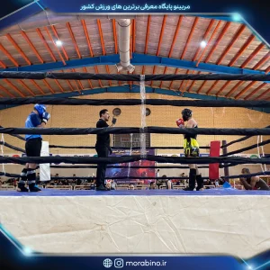 علی بکرانی