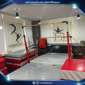 آکادمی تخصصی ژیمناستیک اناهاتا