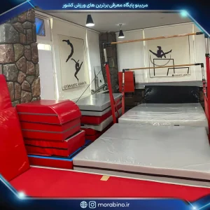 آکادمی تخصصی ژیمناستیک اناهاتا