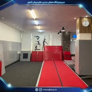 آکادمی تخصصی ژیمناستیک اناهاتا