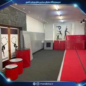 آکادمی تخصصی ژیمناستیک اناهاتا