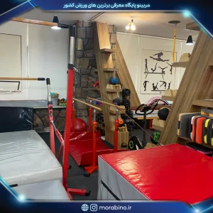 آکادمی تخصصی ژیمناستیک اناهاتا