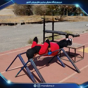 فائزه آشورپور