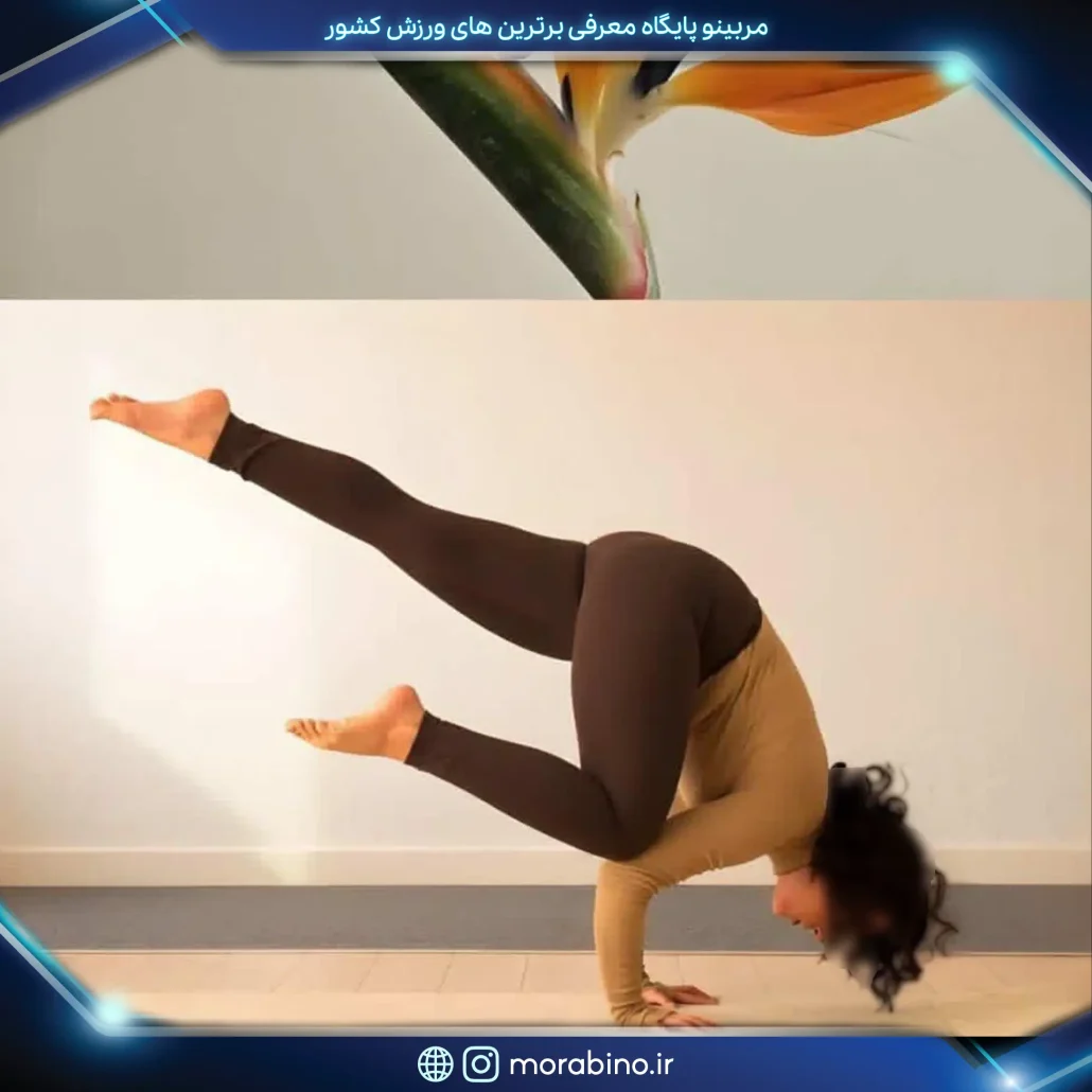 بهاره ثابت