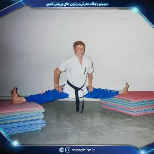 جواد بیات
