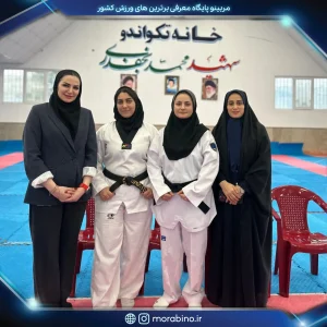 مهسابزرگی