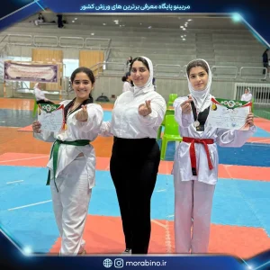 مهسابزرگی