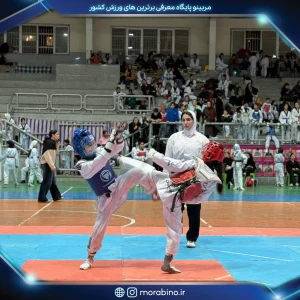 مهسابزرگی