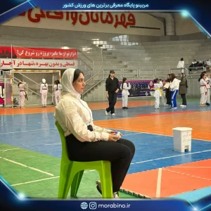 مهسابزرگی
