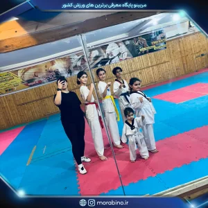مهسابزرگی