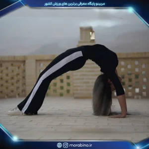 الناز دهقان